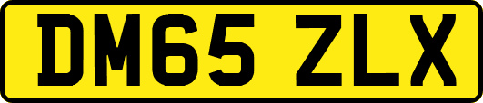 DM65ZLX
