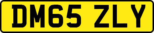 DM65ZLY