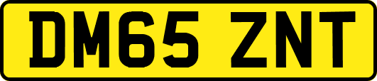 DM65ZNT