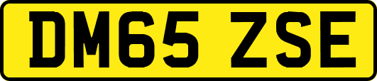 DM65ZSE