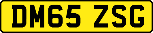 DM65ZSG