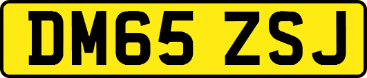DM65ZSJ