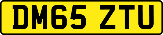 DM65ZTU