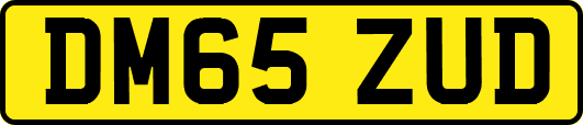 DM65ZUD