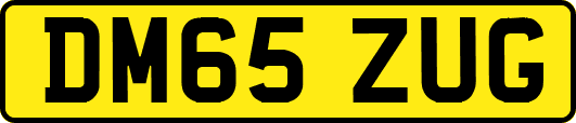 DM65ZUG