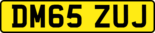 DM65ZUJ