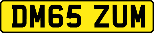 DM65ZUM