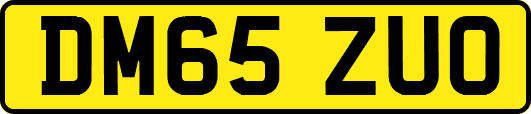 DM65ZUO