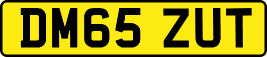DM65ZUT