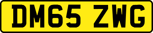DM65ZWG