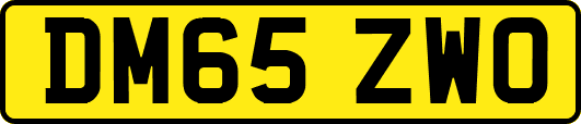 DM65ZWO