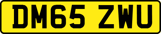 DM65ZWU