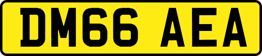 DM66AEA