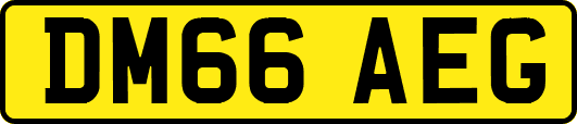 DM66AEG