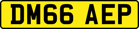 DM66AEP