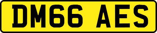 DM66AES