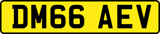 DM66AEV