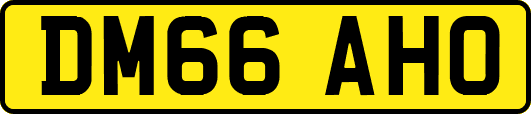 DM66AHO
