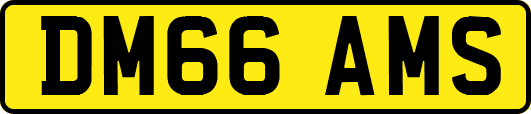 DM66AMS