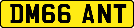 DM66ANT