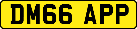 DM66APP