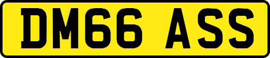 DM66ASS