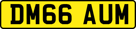 DM66AUM