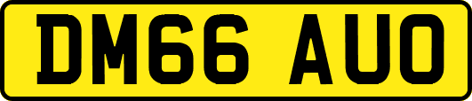DM66AUO