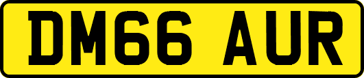 DM66AUR