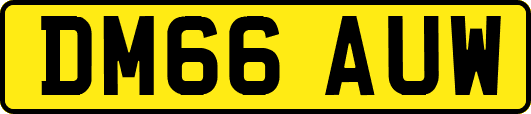 DM66AUW