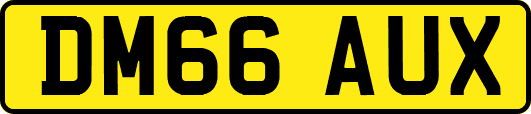 DM66AUX