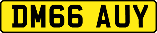 DM66AUY