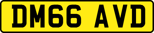 DM66AVD