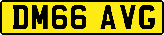 DM66AVG