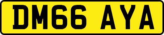 DM66AYA