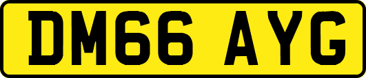 DM66AYG