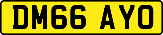 DM66AYO