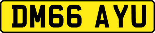 DM66AYU