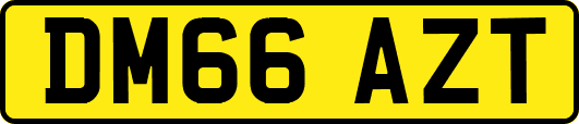 DM66AZT
