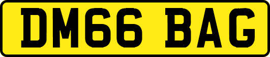 DM66BAG