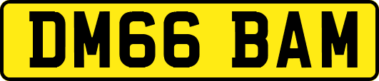 DM66BAM