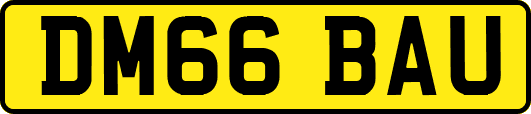 DM66BAU