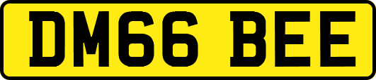 DM66BEE