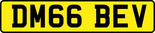 DM66BEV