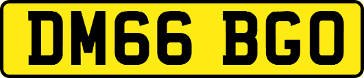DM66BGO