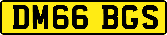 DM66BGS