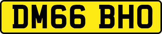 DM66BHO