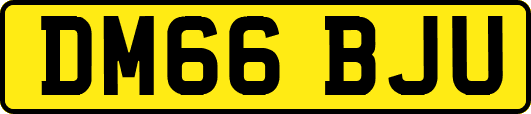 DM66BJU