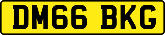 DM66BKG