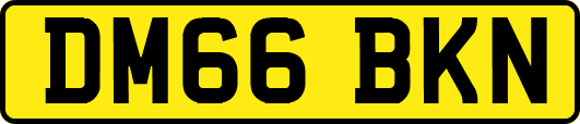 DM66BKN